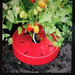 New Qty 03 Tomato Craters Red Plant Tomato Rings